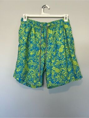Men's Speedo Lime Green and Blue Pineapple Volley Swim Shorts,Size L!